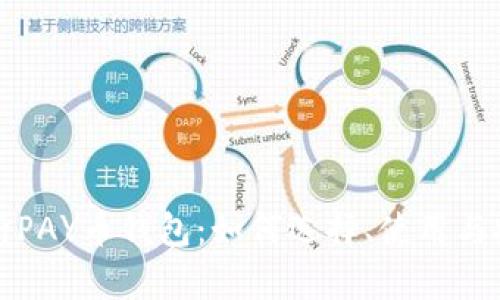 全面解析PAY币钱包：如何选择、使用与安全保障