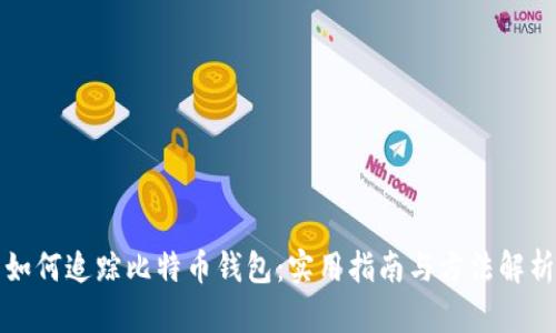 如何追踪比特币钱包：实用指南与方法解析
