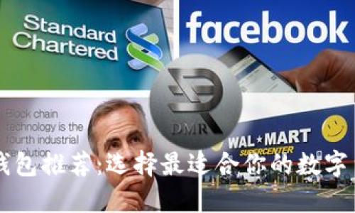 币交易钱包推荐：选择最适合你的数字货币钱包
