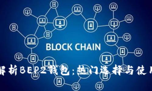 全面解析BEP2钱包：热门选择与使用指南