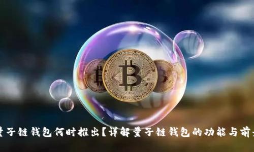 量子链钱包何时推出？详解量子链钱包的功能与前景