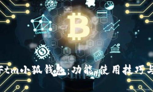全面解析Ftm小狐钱包：功能、使用技巧与常见问题