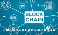 小狐钱包代币消失原因及解决方案详解