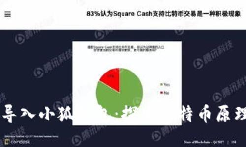 中本聪导入小狐钱包：探索比特币原理与应用